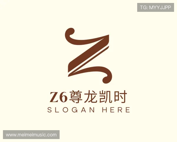 认识z6尊龙凯时